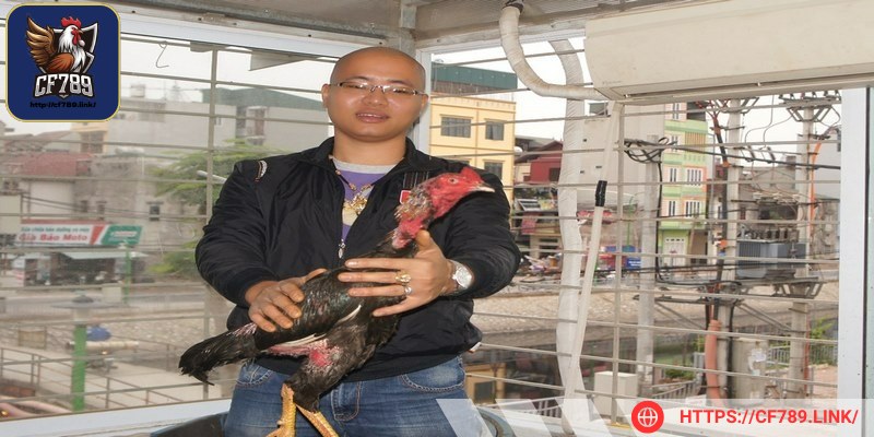 Sư kê đặc biệt không nên đổi môi trường đột ngột của gà