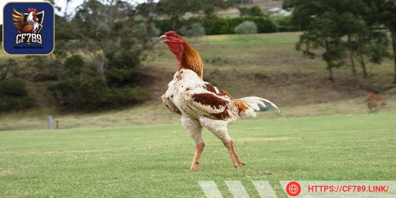 Kiểm tra môi trường nuôi dưỡng