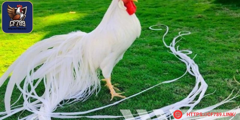 Các bạn có thể tham gia các hội nhóm để tìm hiểu
