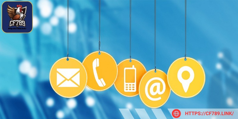 Liên hệ hỗ trợ khi gặp vấn đề